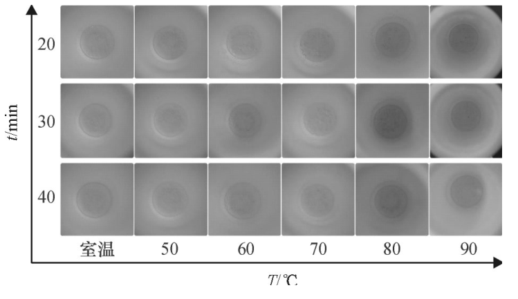 不同密閉消解時間、不同水浴溫度的消解效果