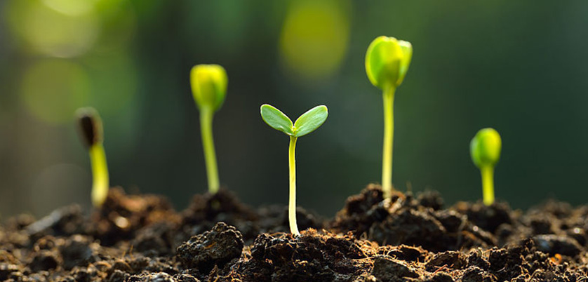 只需一鍵啟動即可完成土壤消解實驗-全自動消解儀 只需一鍵啟動即可完成土壤消解實驗-全自動消解儀