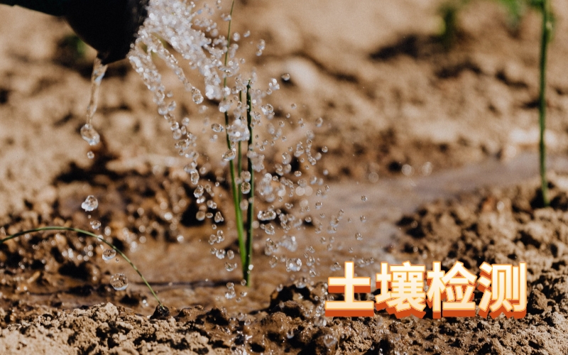 土壤重金屬檢測(cè) 土壤重金屬檢測(cè)